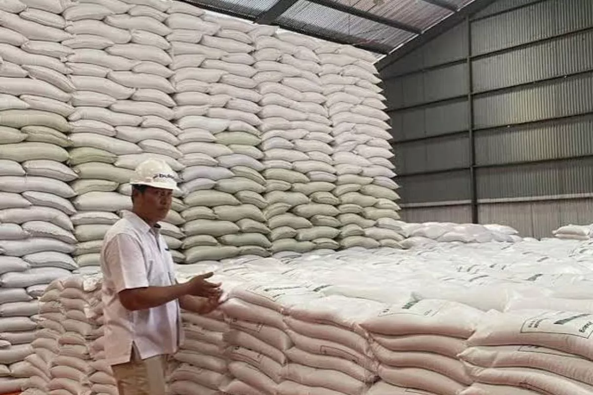 Harga Beras Premium & Medium Naik Juli 2026