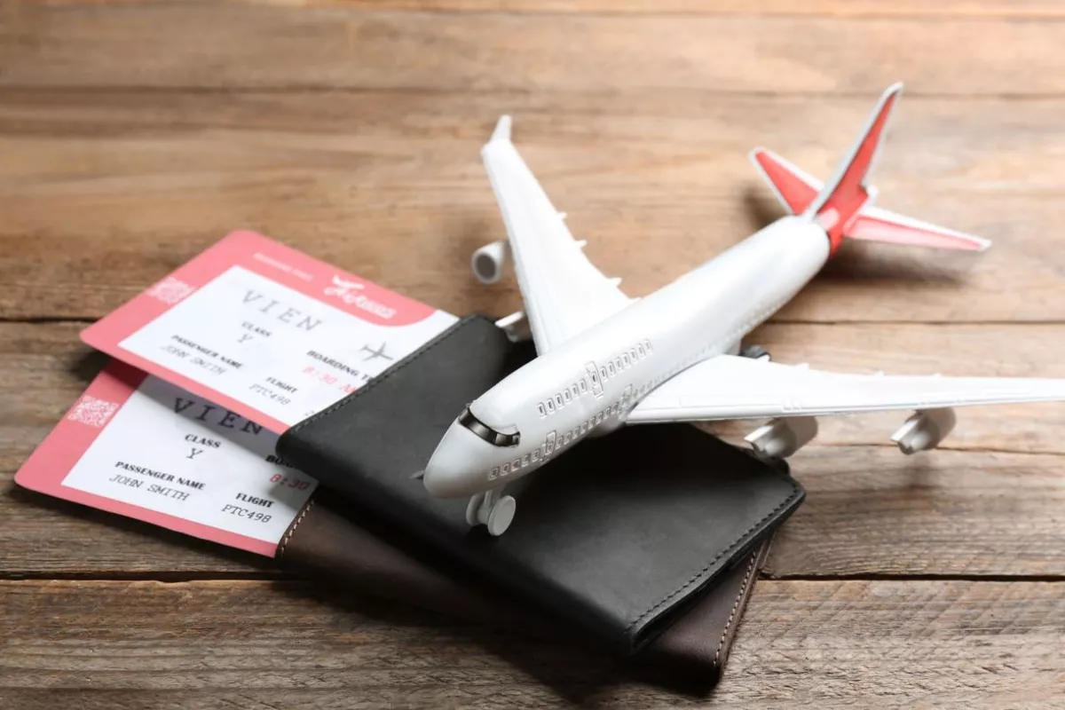 Aturan Baru Bebas PPN Tiket Pesawat Domestik Sudah Resmi Diberlakukan