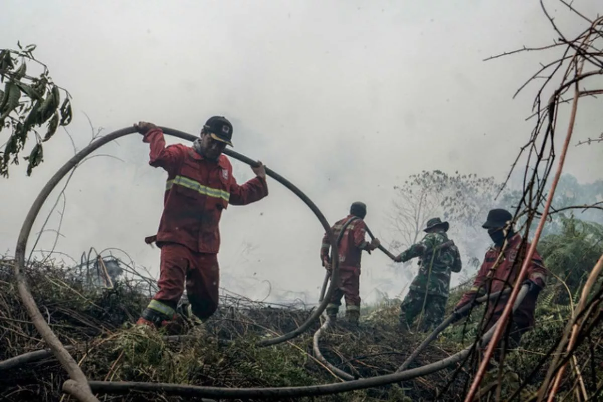 Kasus ISPA 2026 Capai 400 Ribu per Minggu Dampak Karhutla dan Kemarau