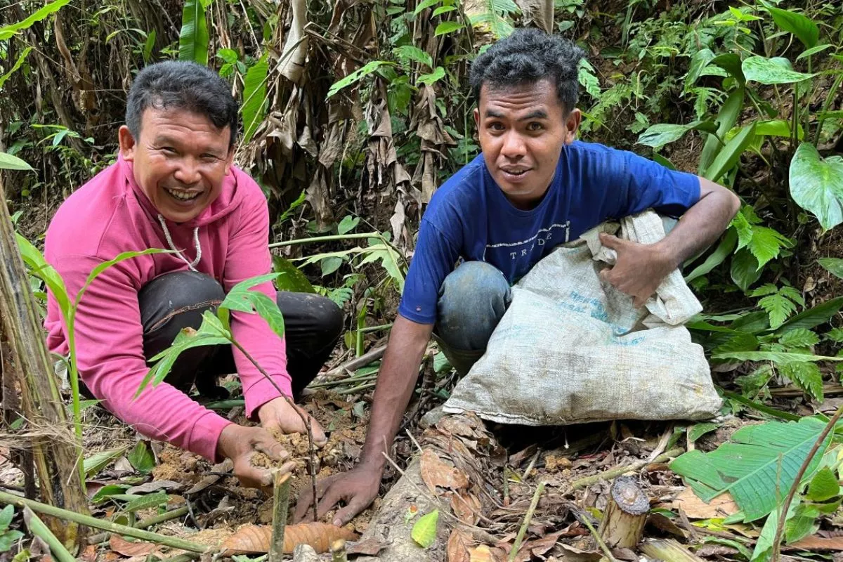 Kemenhut dan Uni Eropa Perkuat Pengelolaan Hutan Lestari di JIC ke-11