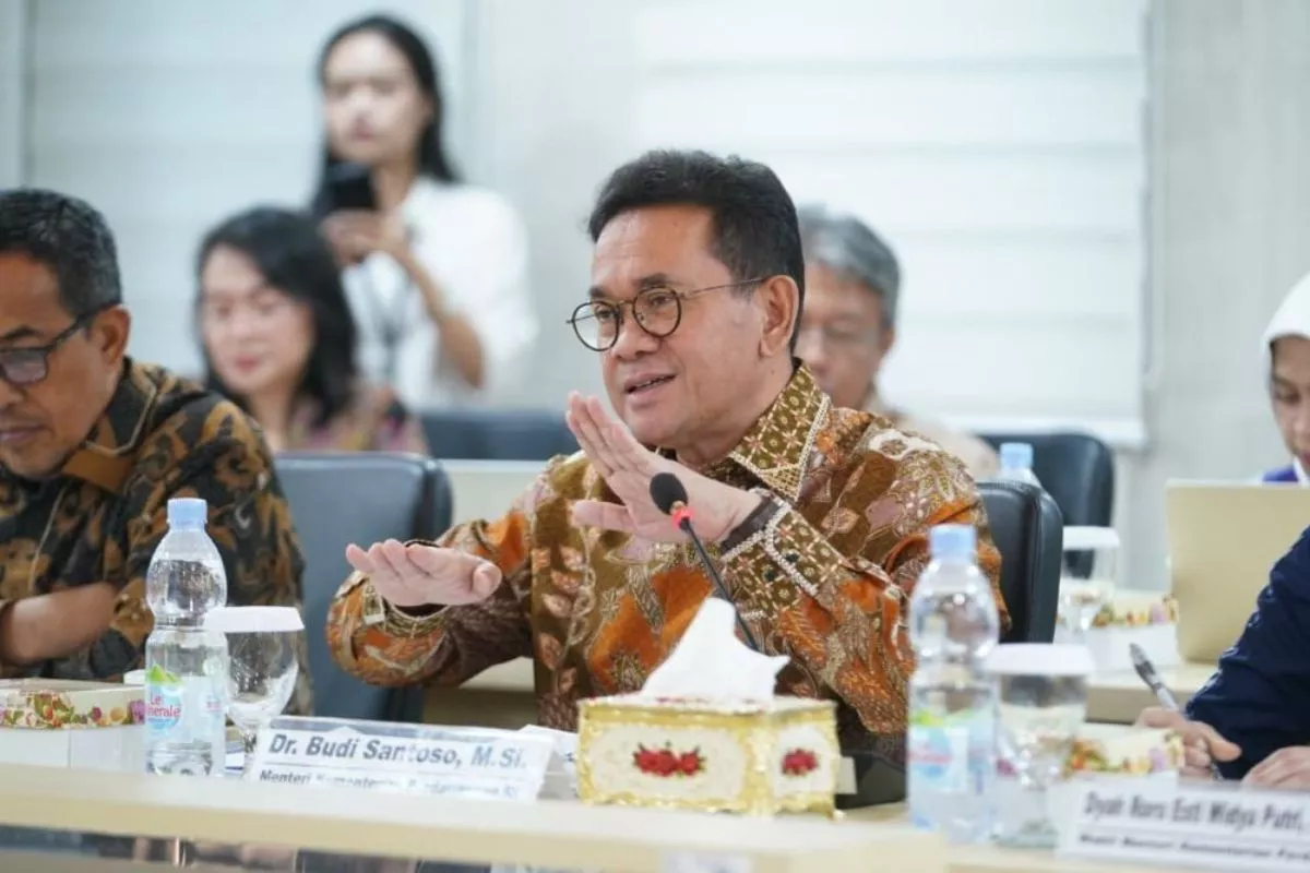 Mendag Jamin Aturan Baru E-commerce Untungkan Penjual dan Platform