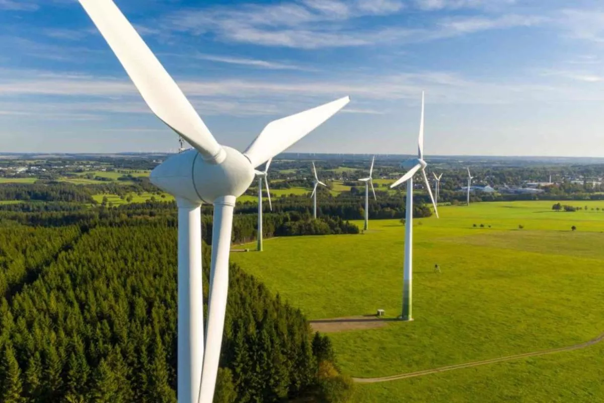 Reformasi Energi Hijau Harus Jamin Keadilan Sosial dan Ekonomi