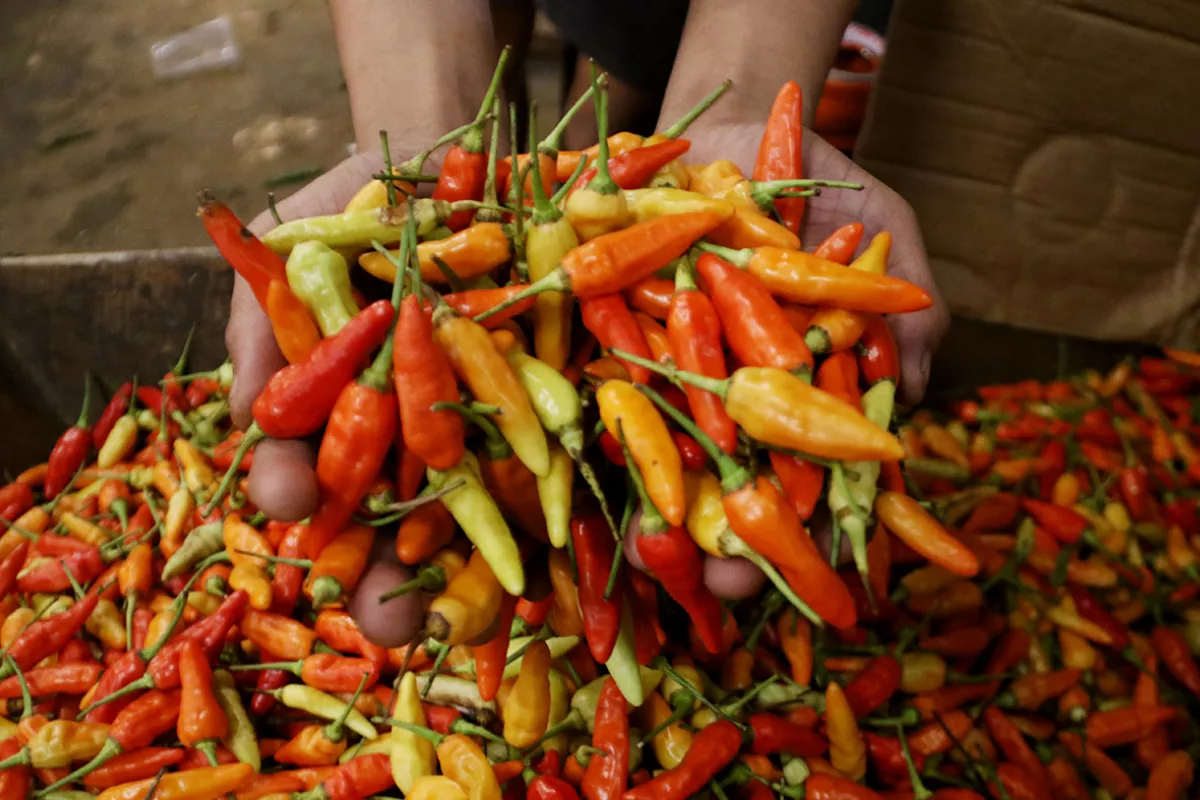 Update Harga Pangan Nasional: Cabai Rawit Merah Capai Rp65.000 per Kg