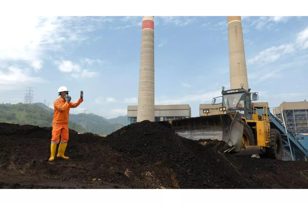 Investasi Biomassa Pengganti Batu Bara: Peluang Baru Energi Hijau