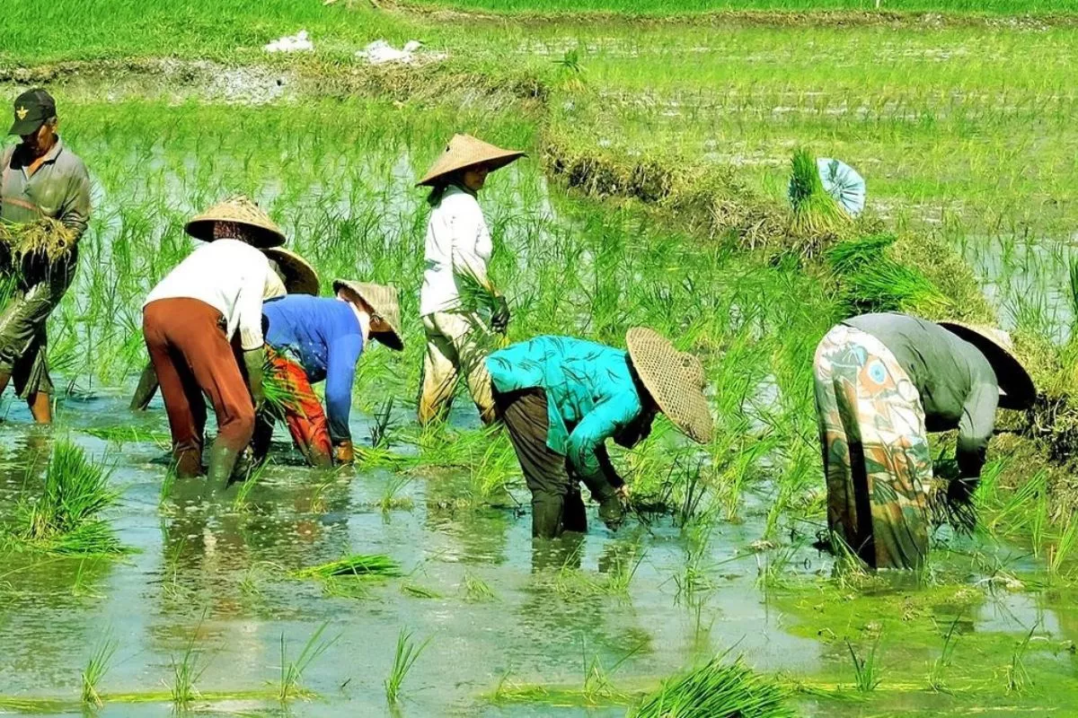 KLH Gandeng Masyarakat Adat Demi Atasi Degradasi Lahan