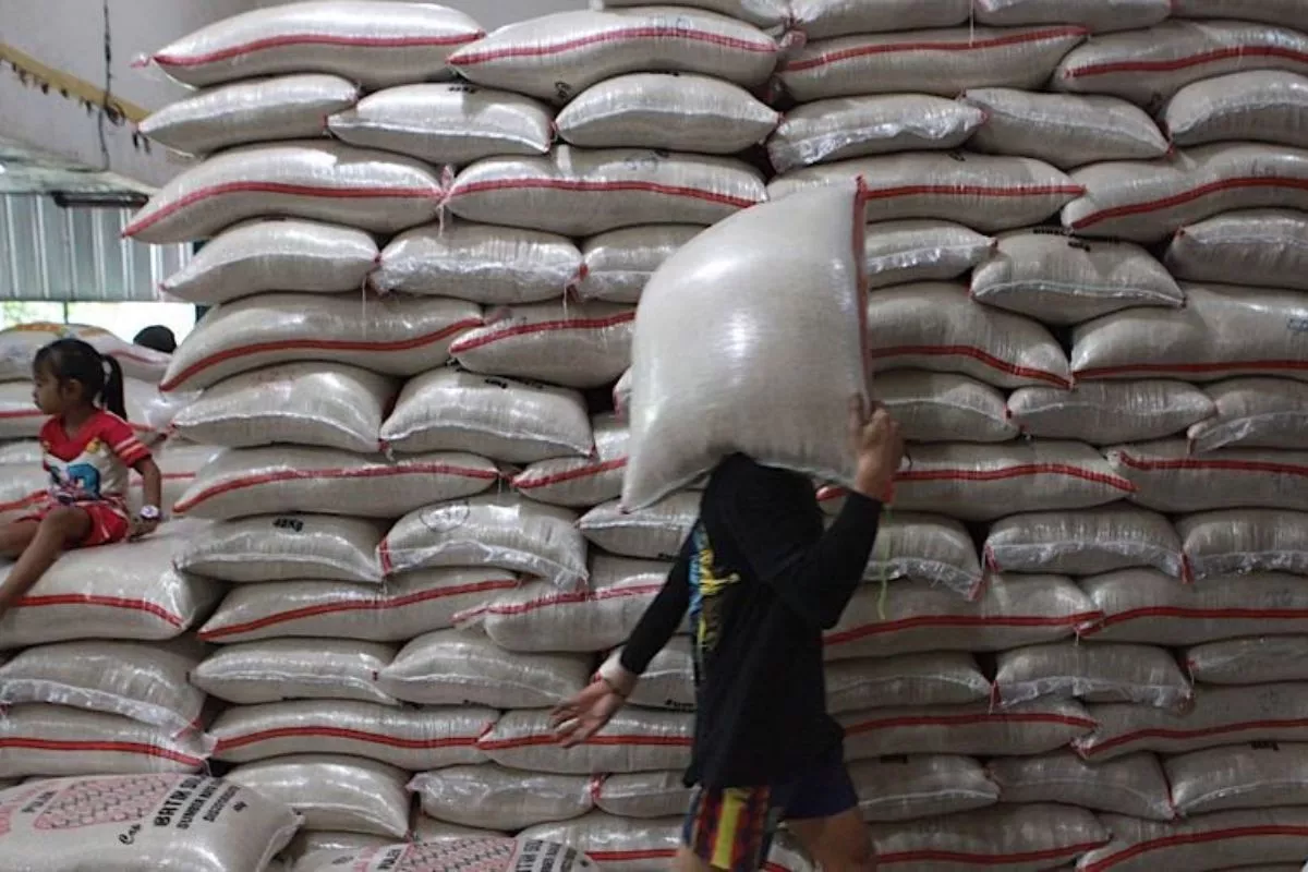 Harga Komoditas Beras Makin Naik dan Cabai Kompak Ikut Mengalami Kenaikan