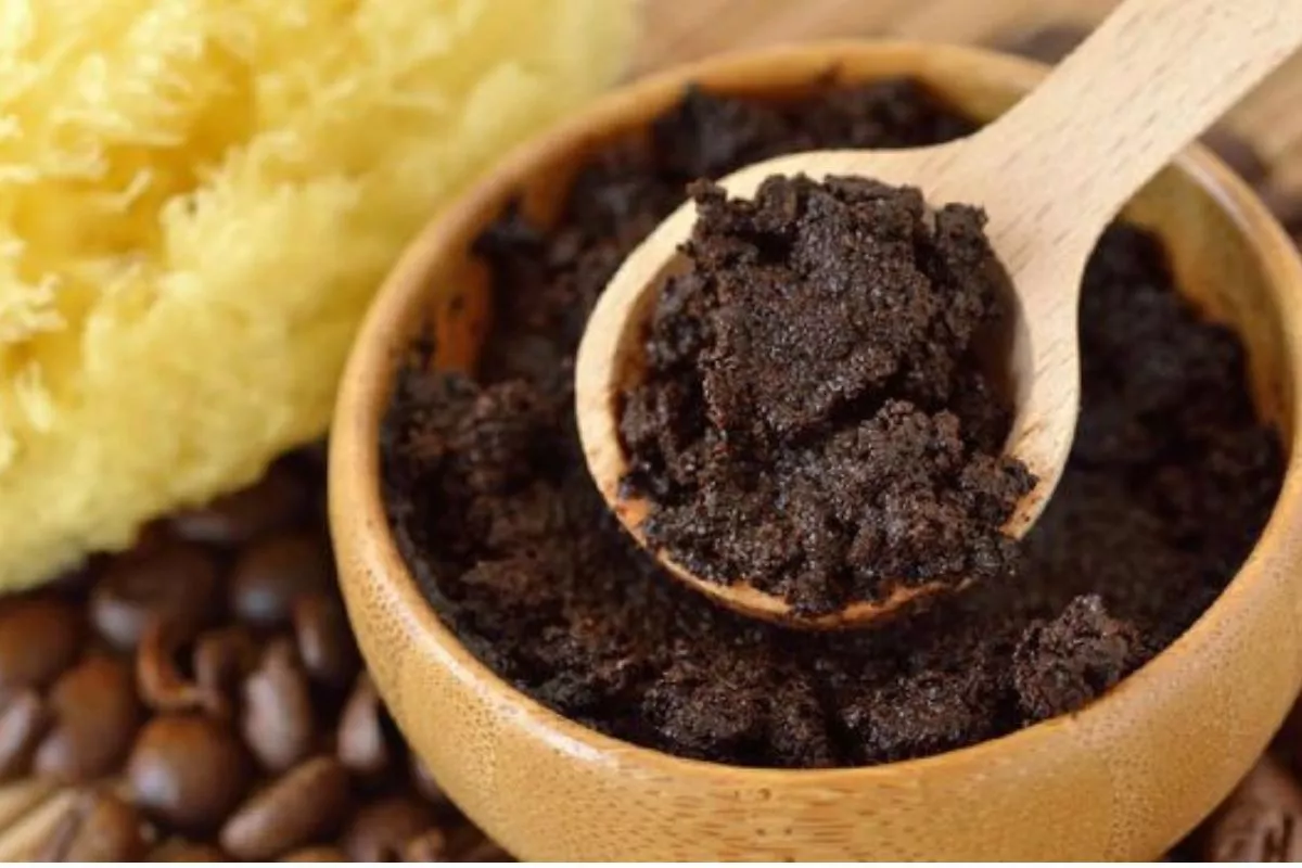 Manfaat Ampas Kopi di Freezer: Solusi Alami Penghilang Bau