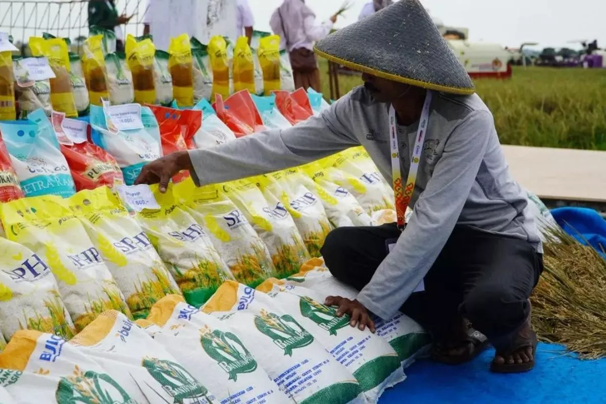 Harga Beras Naik Dampak Kemarau, Pemerintah Tambah 1 Juta Ton SPHP