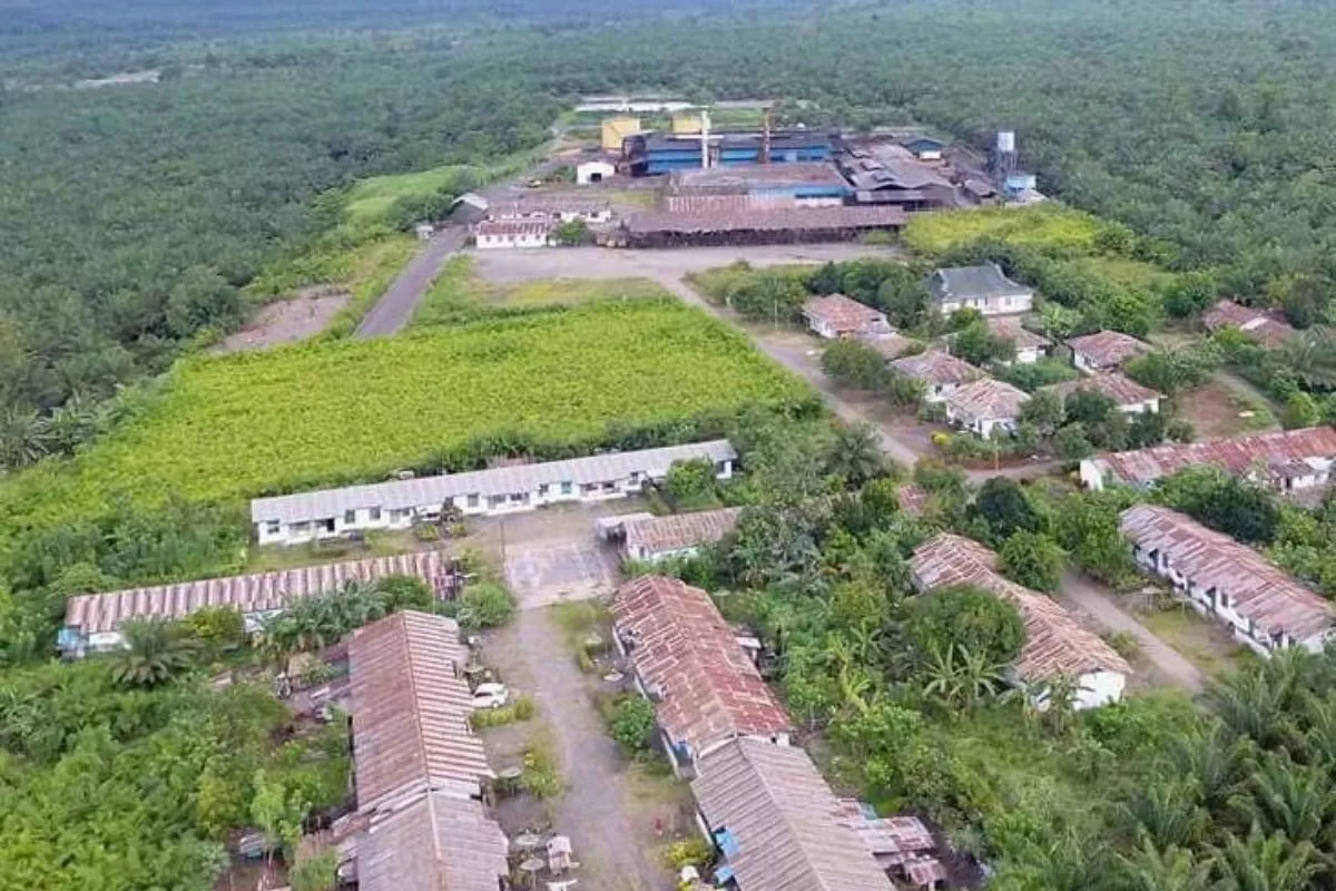 Daya Tampung Sawit sebagai Penyeimbang Emisi Industri di Banggai