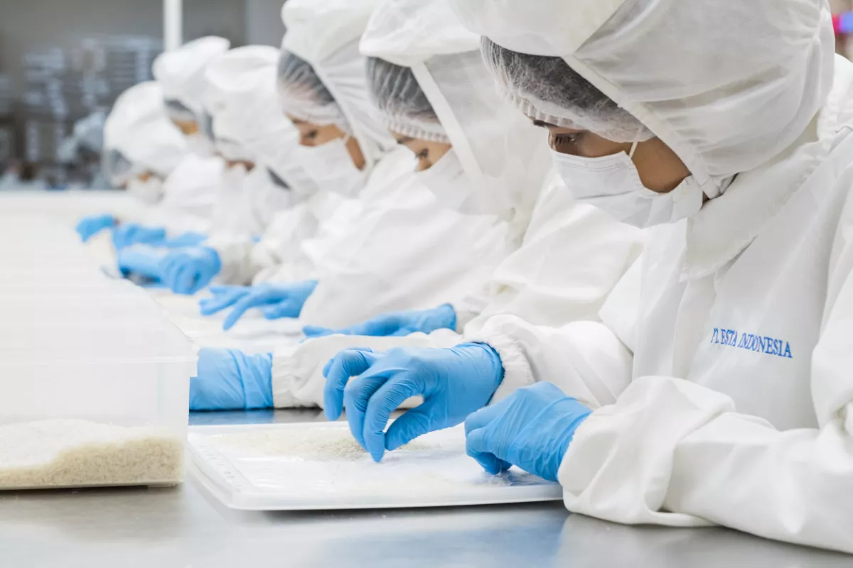 Penjualan Tumbuh 11,8%, NEST Genjot Kapasitas Produksi Sarang Walet