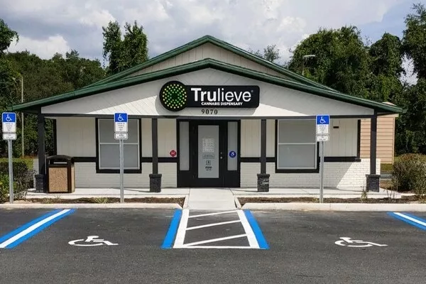 CEO Trulieve Cannabis Jual Saham 8,9 Juta Dolar Saat Harga Terkoreksi