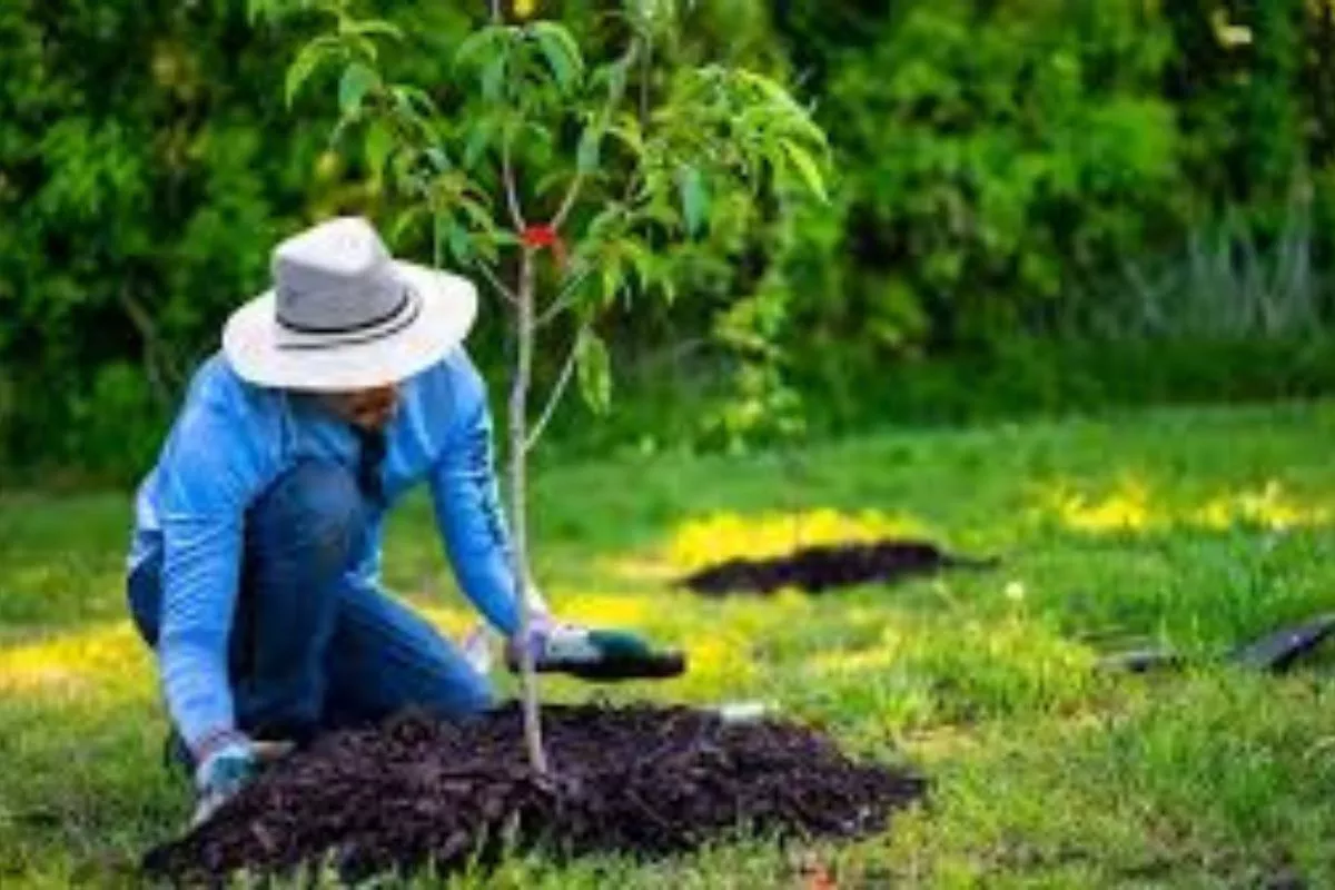 PHM Gelar Workshop Transisi Energi dan Aksi Tanam Mangrove