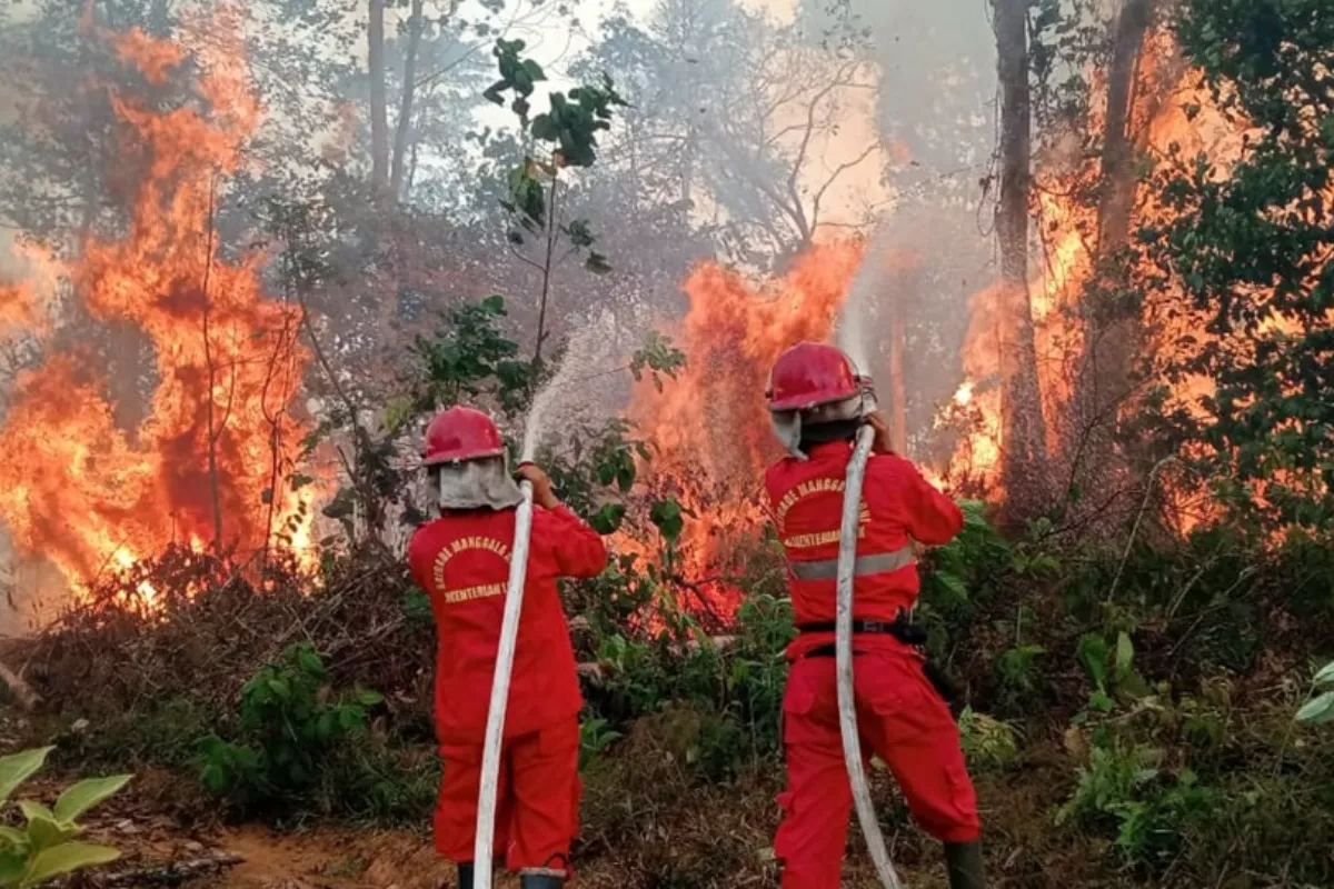 BNPB Imbau Warga Segera Lapor Jika Temukan Titik Api Karhutla