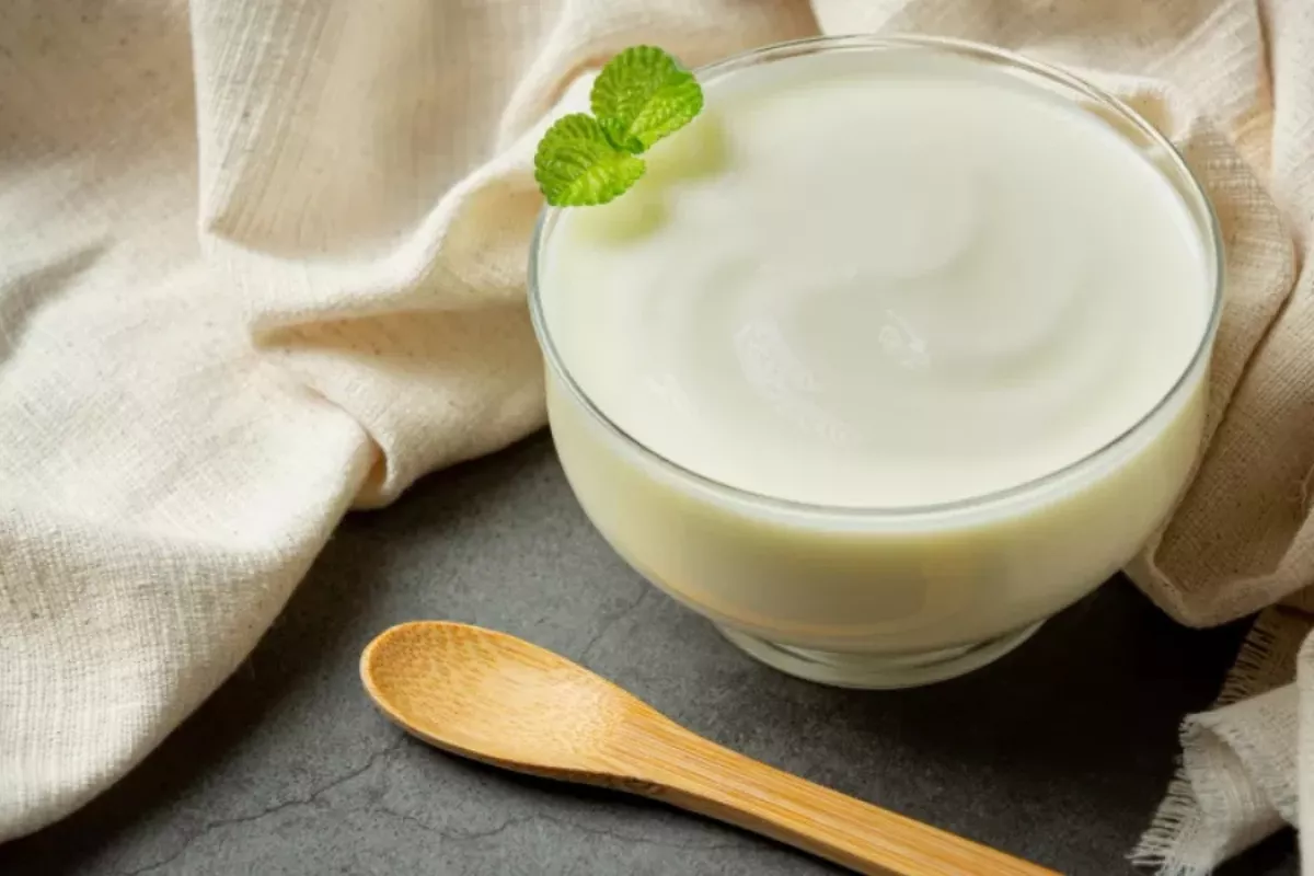 Suhu Ideal Membuat Yogurt: Panduan Tanpa Termometer untuk Anak Kos