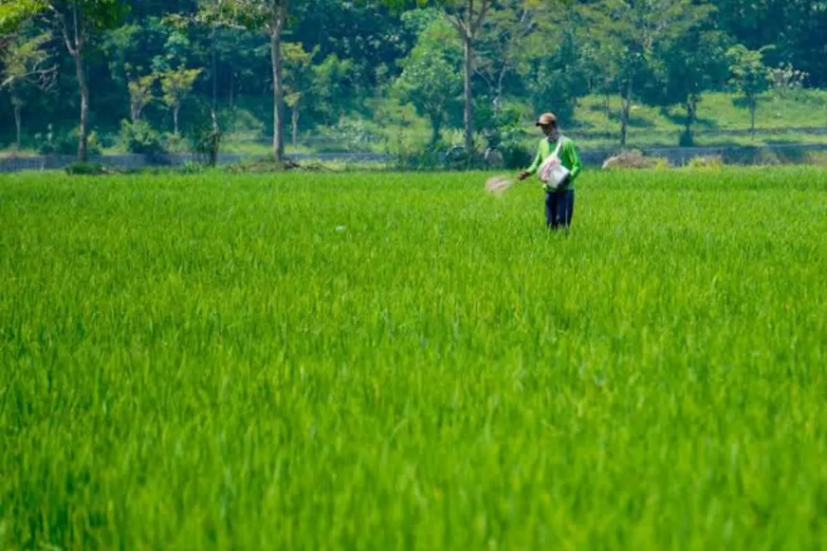 Hadapi El-Nino Kuat, Bappenas Rumuskan Respons 4 Kluster Utama