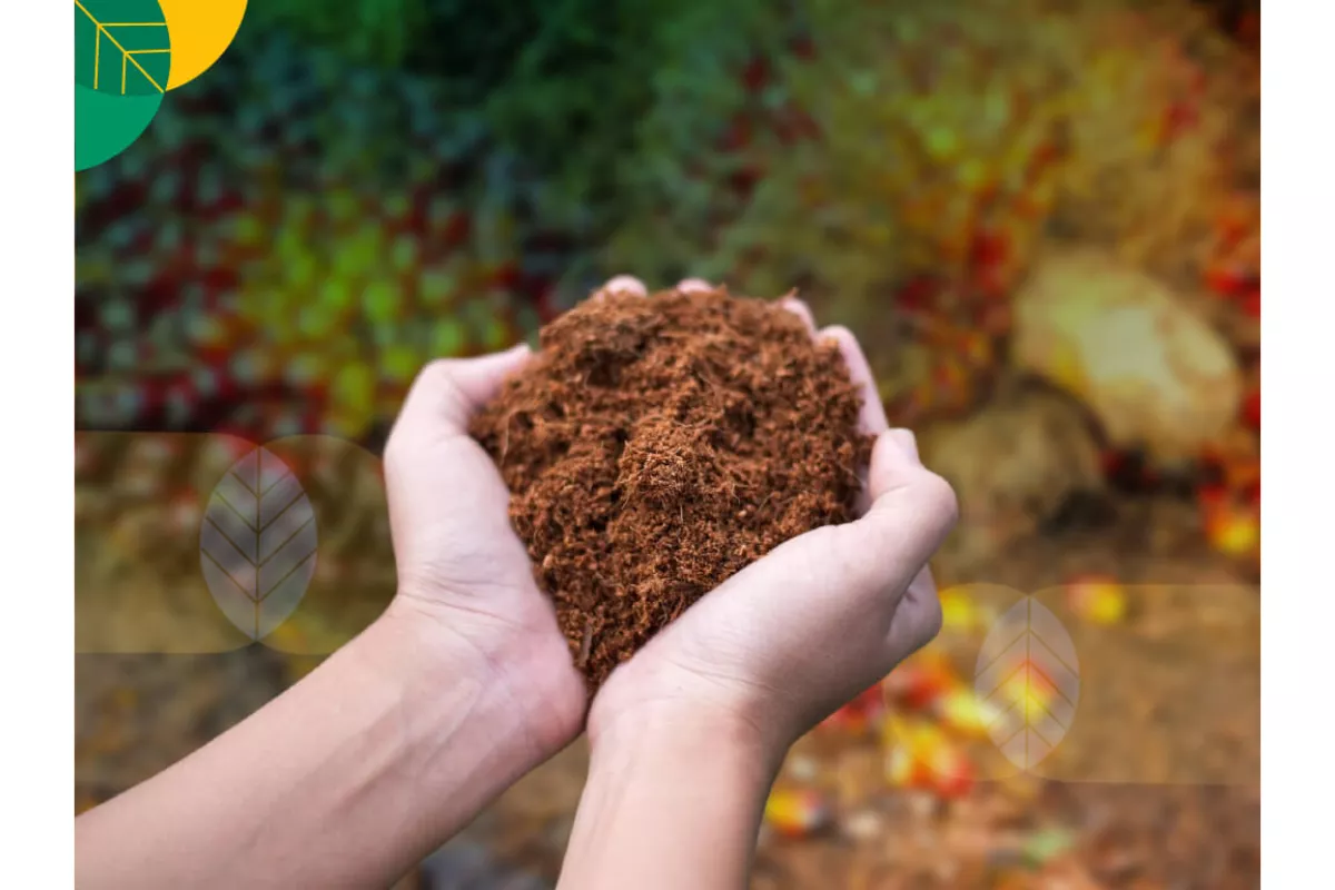 Cara Mengolah Limbah Sawit Organik Menjadi Nilai Ekonomi Tinggi