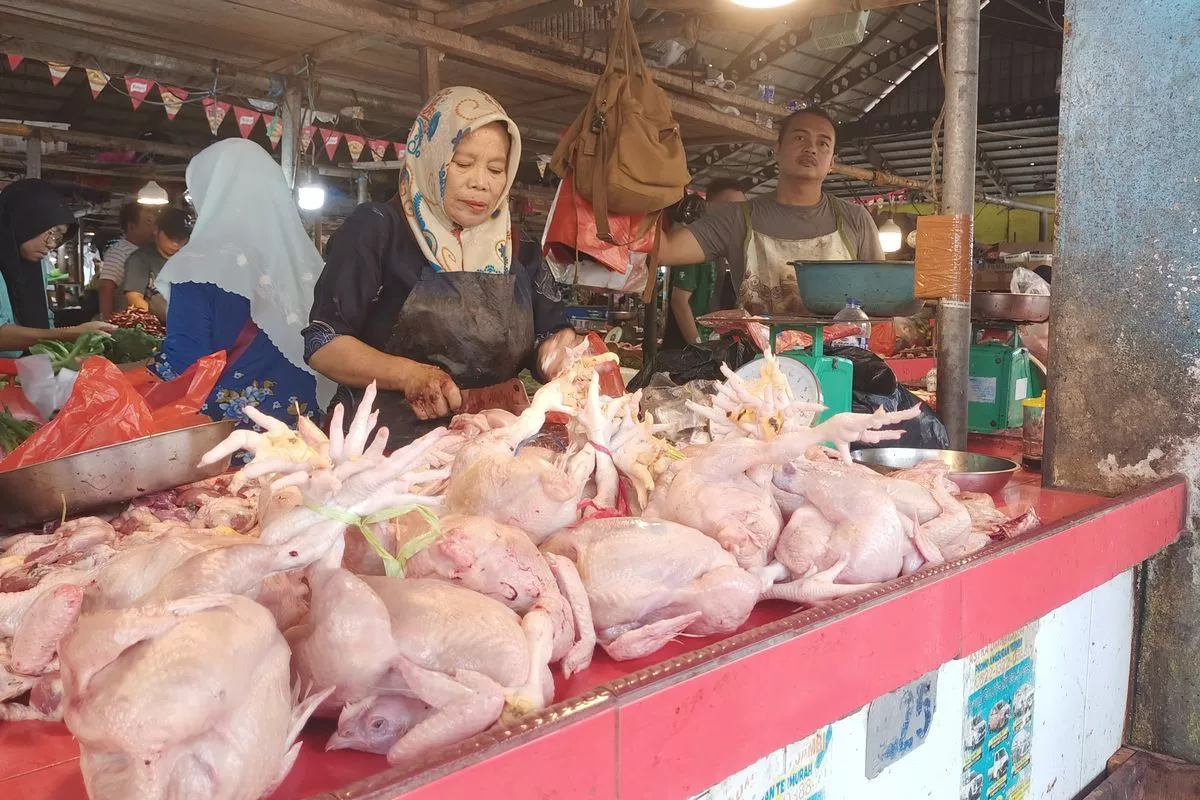 Harga Daging Ayam Ras Naik di 188 Daerah, BPS Imbau Pemda Waspada
