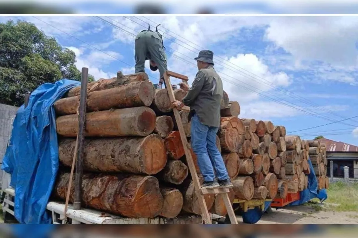 PDIP Desak Transparansi Sewa Lahan Tambang di UU Kehutanan Baru