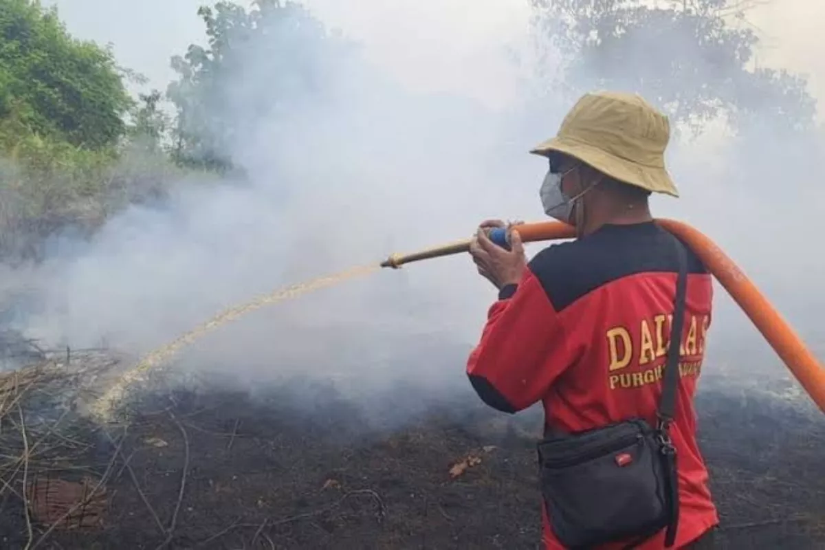 Kemenkeu Didesak Cairkan Anggaran Karhutla Rp290,9 Miliar