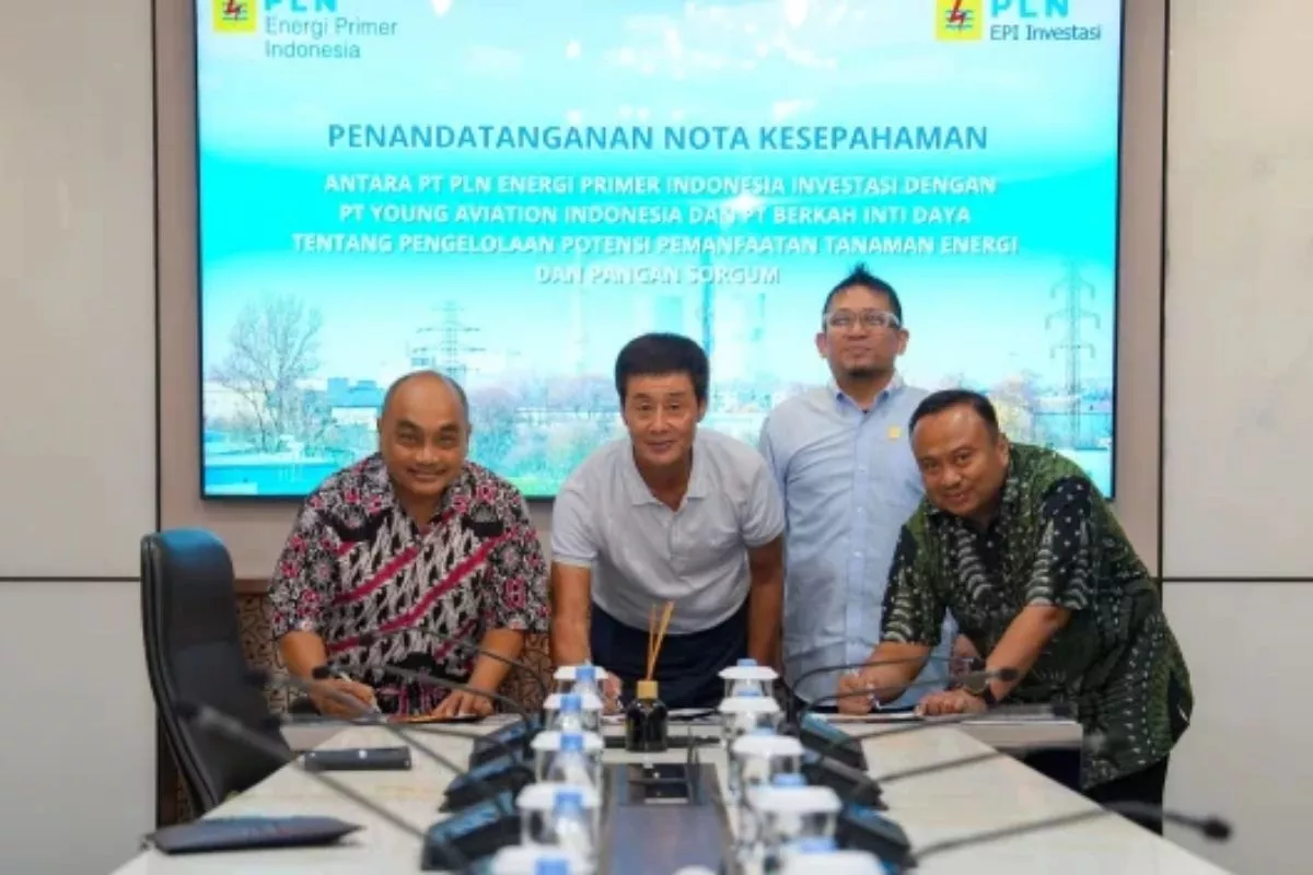 PLN EPI Bangun Bioenergi Sorgum demi Akselerasi Transisi Energi