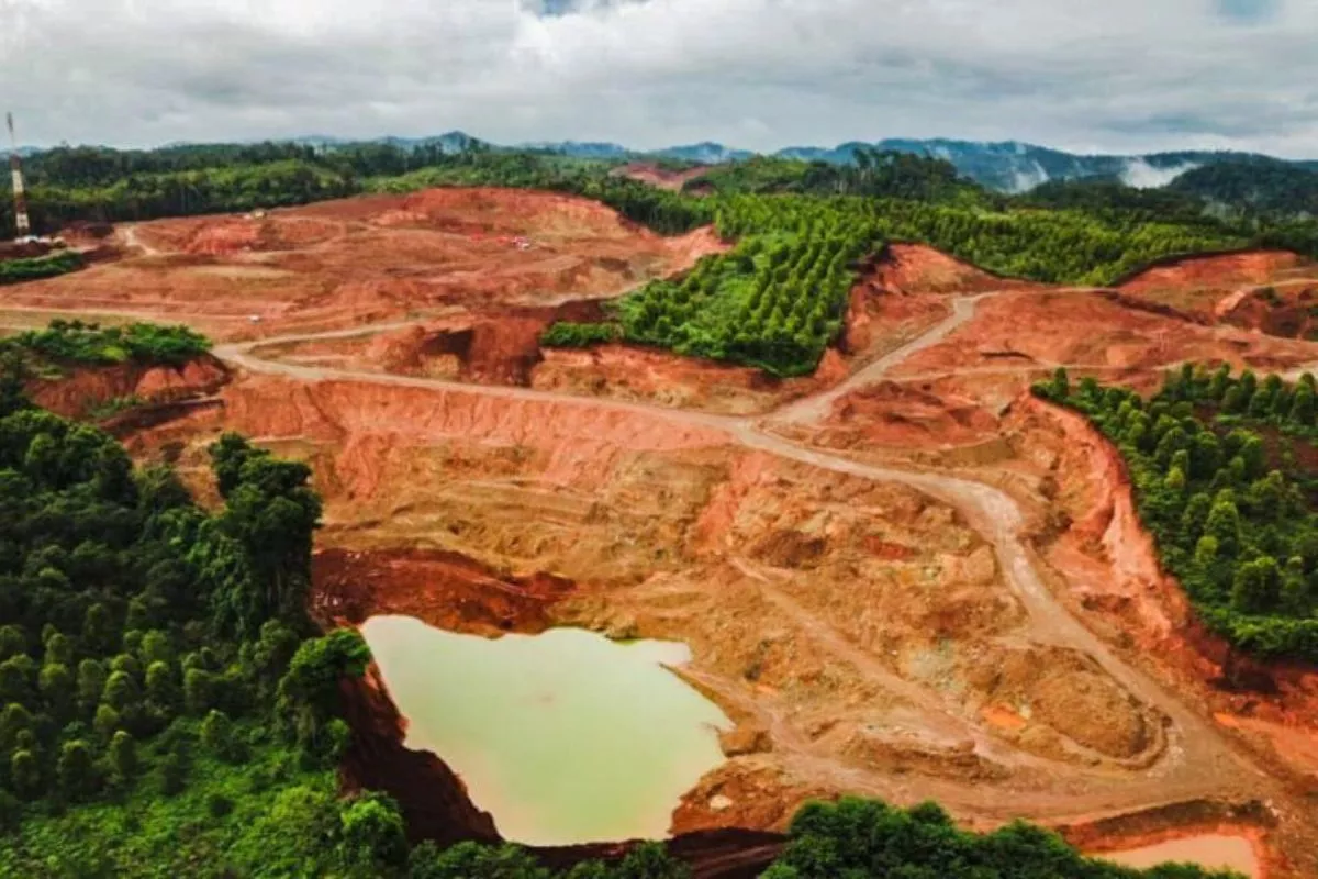 Membakar Hutan Amerika untuk Listrik Eropa: Ancaman bagi Lingkungan