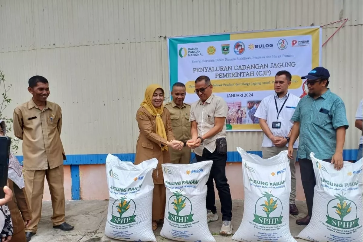 Salurkan 127 Ribu Ton SPHP Jagung, Kementan Pastikan Stok Peternak Aman