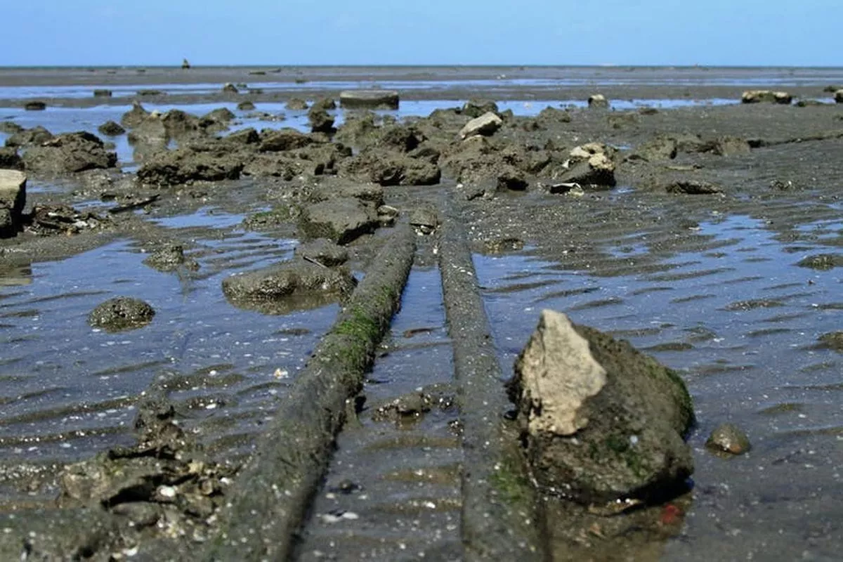 INET Akuisisi SGI, Bidik Penguatan Infrastruktur Kabel Laut