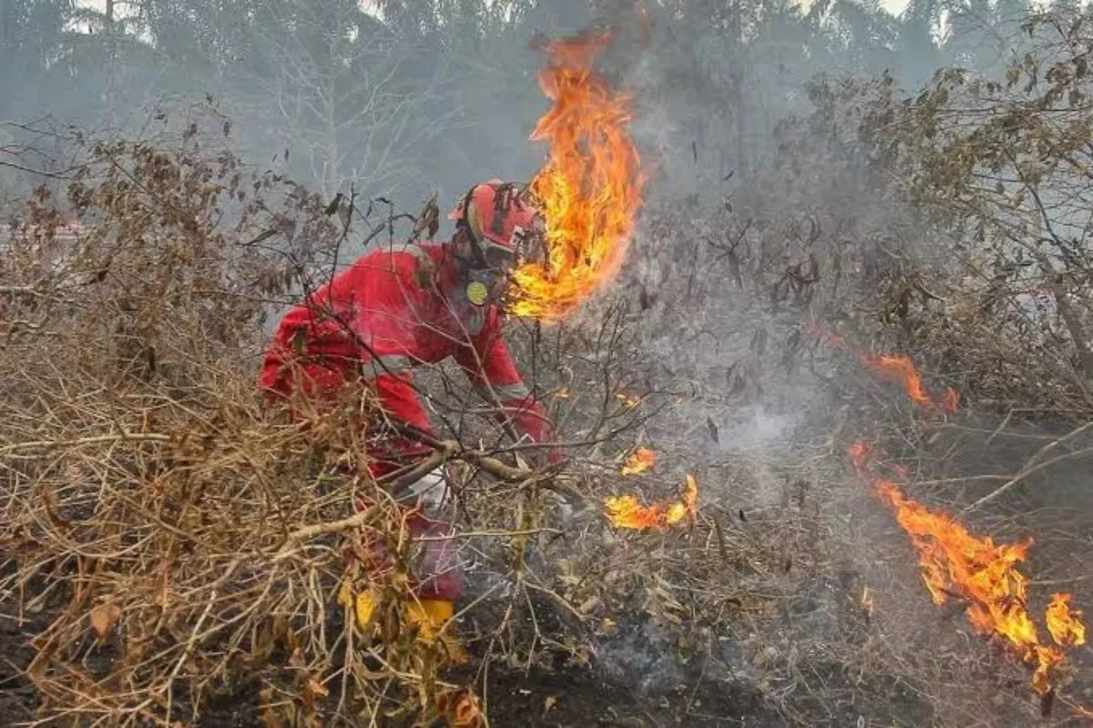 6 Provinsi Jadi Fokus Utama Operasi Darat Tekan Karhutla Sumatra-Kalimantan