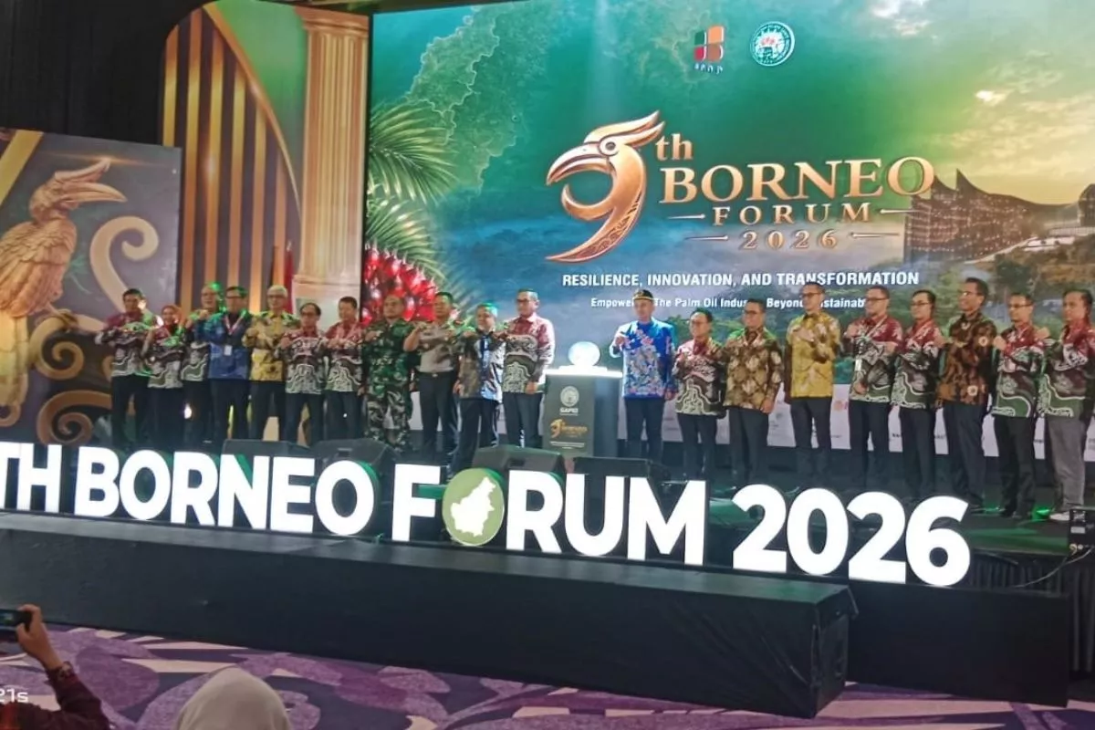 Pemerintah Didesak Pangkas Birokrasi Program Replanting Sawit