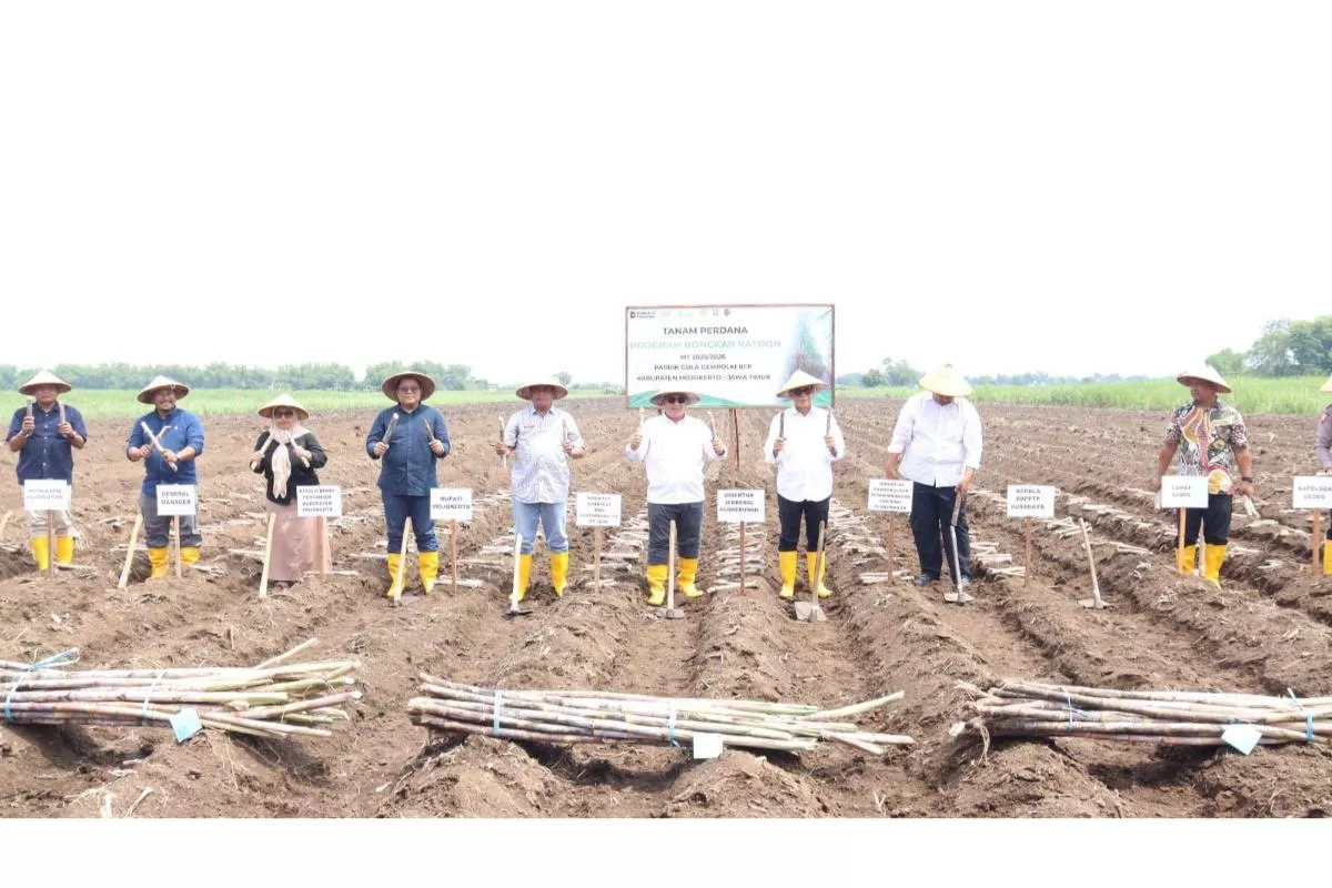 Strategi Hilirisasi Perkebunan Perkuat Ketahanan Energi Nasional