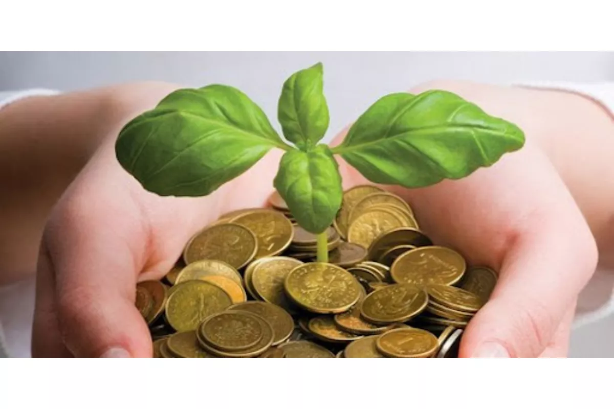 Cara Investasi Reksadana bagi Pemula: Strategi Cuan Minim Risiko