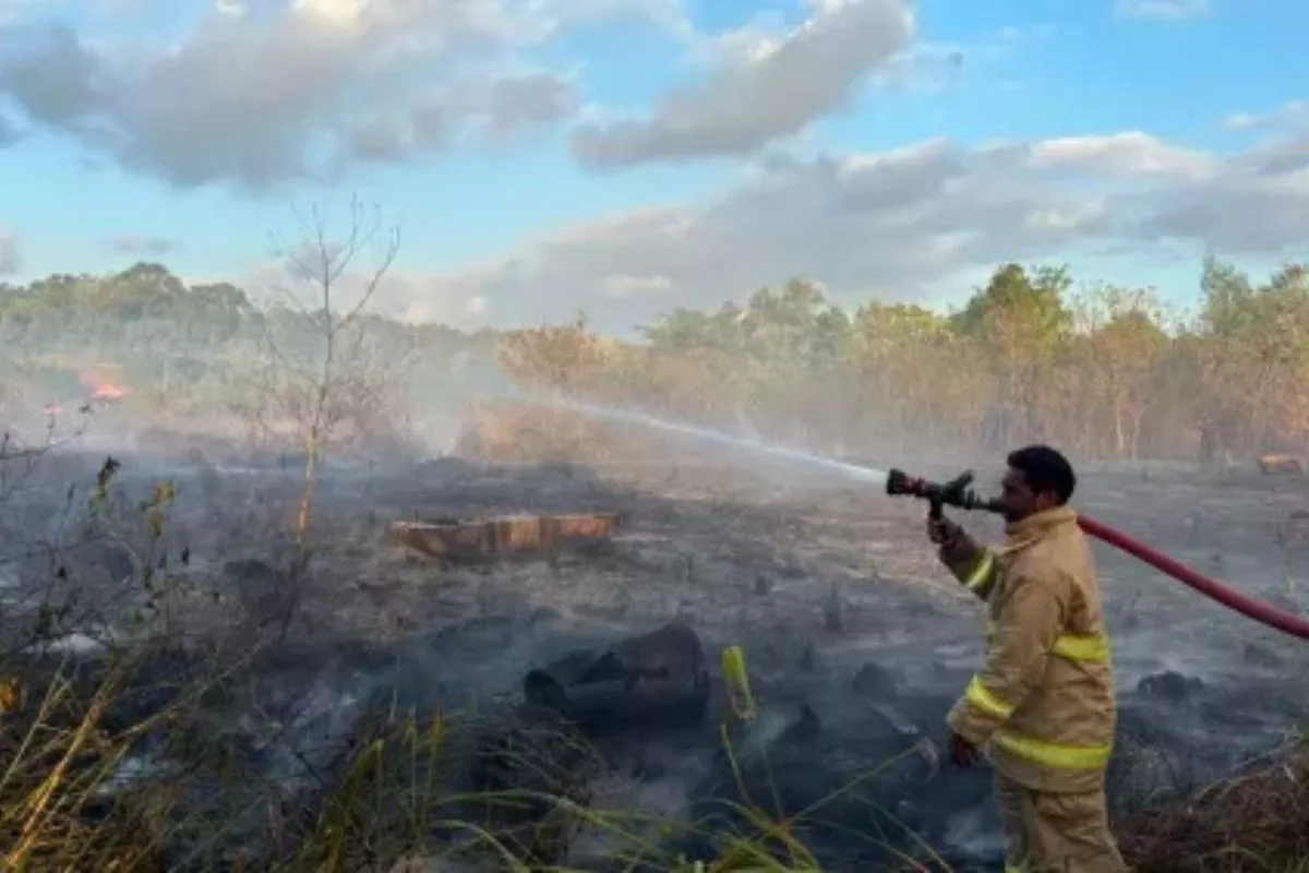 Atasi Karhutla Pinrang, BNPB Terapkan Teknik Fire Breaking