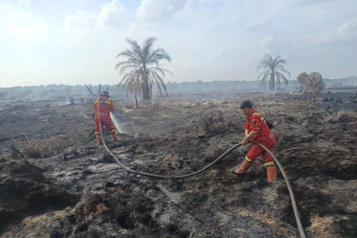 Karhutla Kalbar Kian Mengancam Keselamatan Satwa