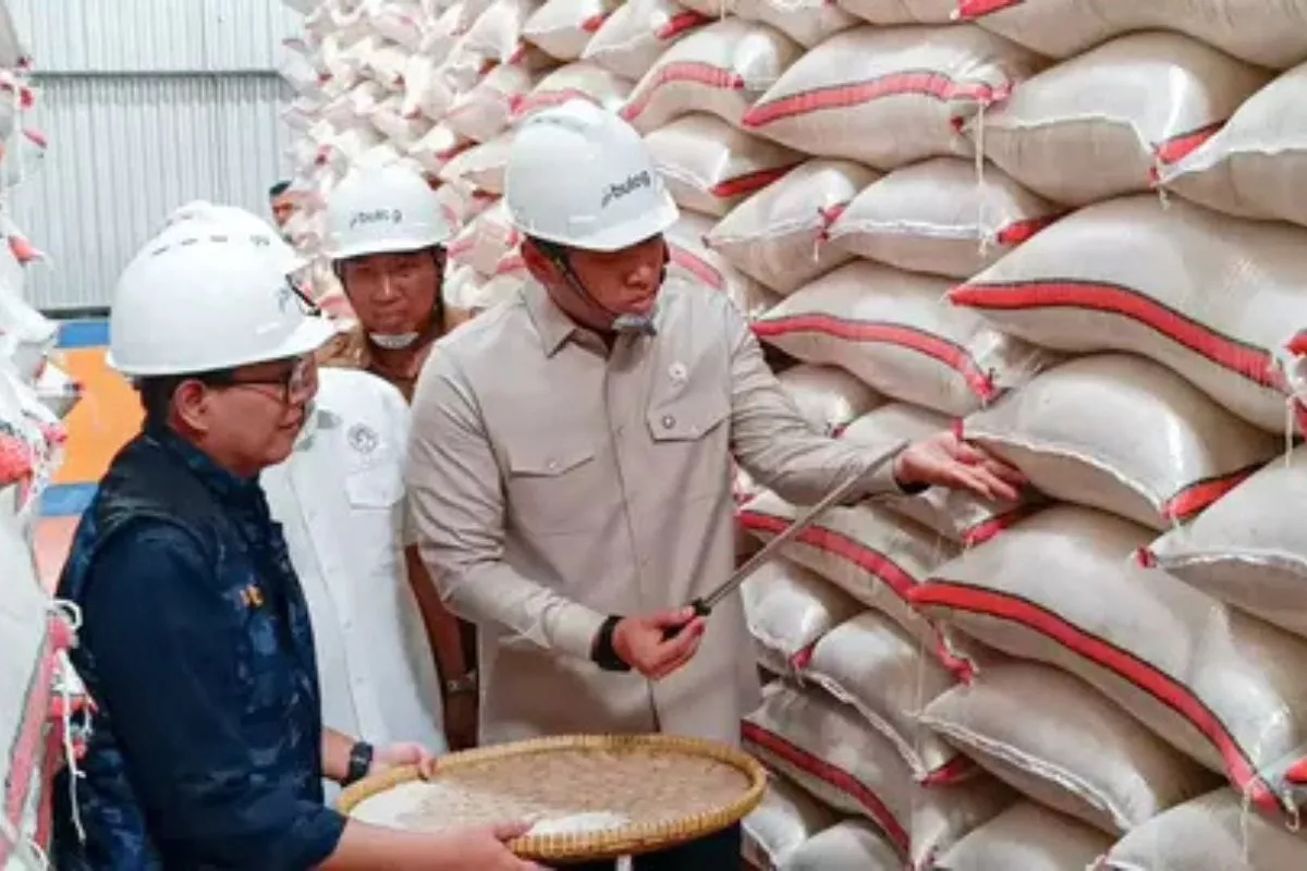 Indef: Harga Beras Tetap Tinggi Meski Stok Melimpah di Semester II/2026