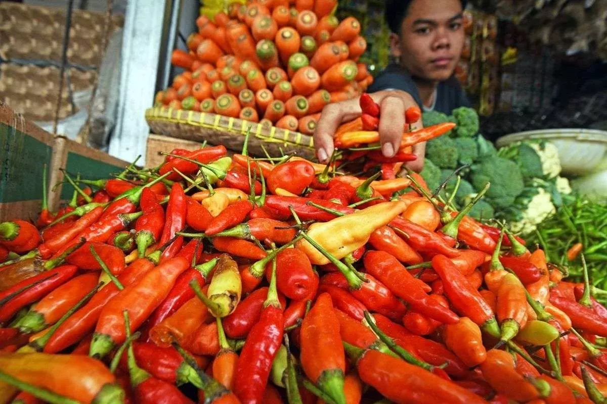 PIHPS Hari Ini: Cabai Rawit Rp73.000 per Kg, Telur Rp29.550 per Kg