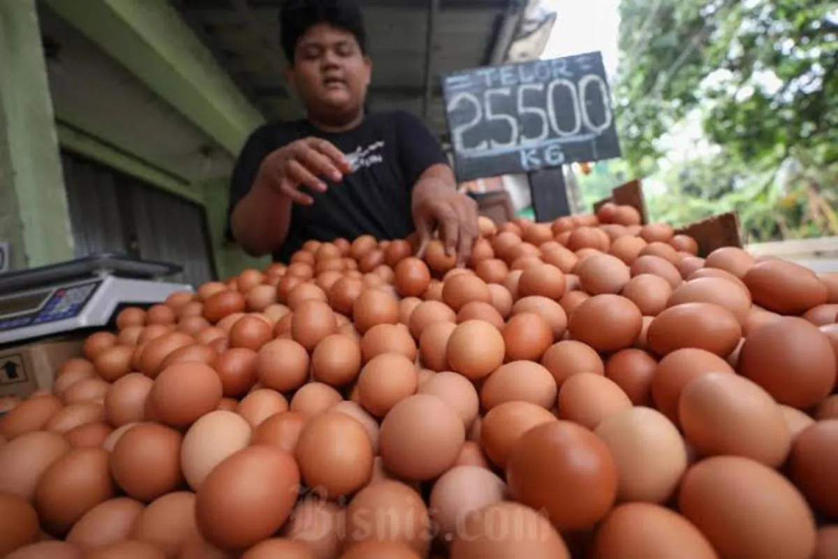 Harga Ayam-Telur Naik, Mentan Minta BGN Serap Langsung dari Peternak
