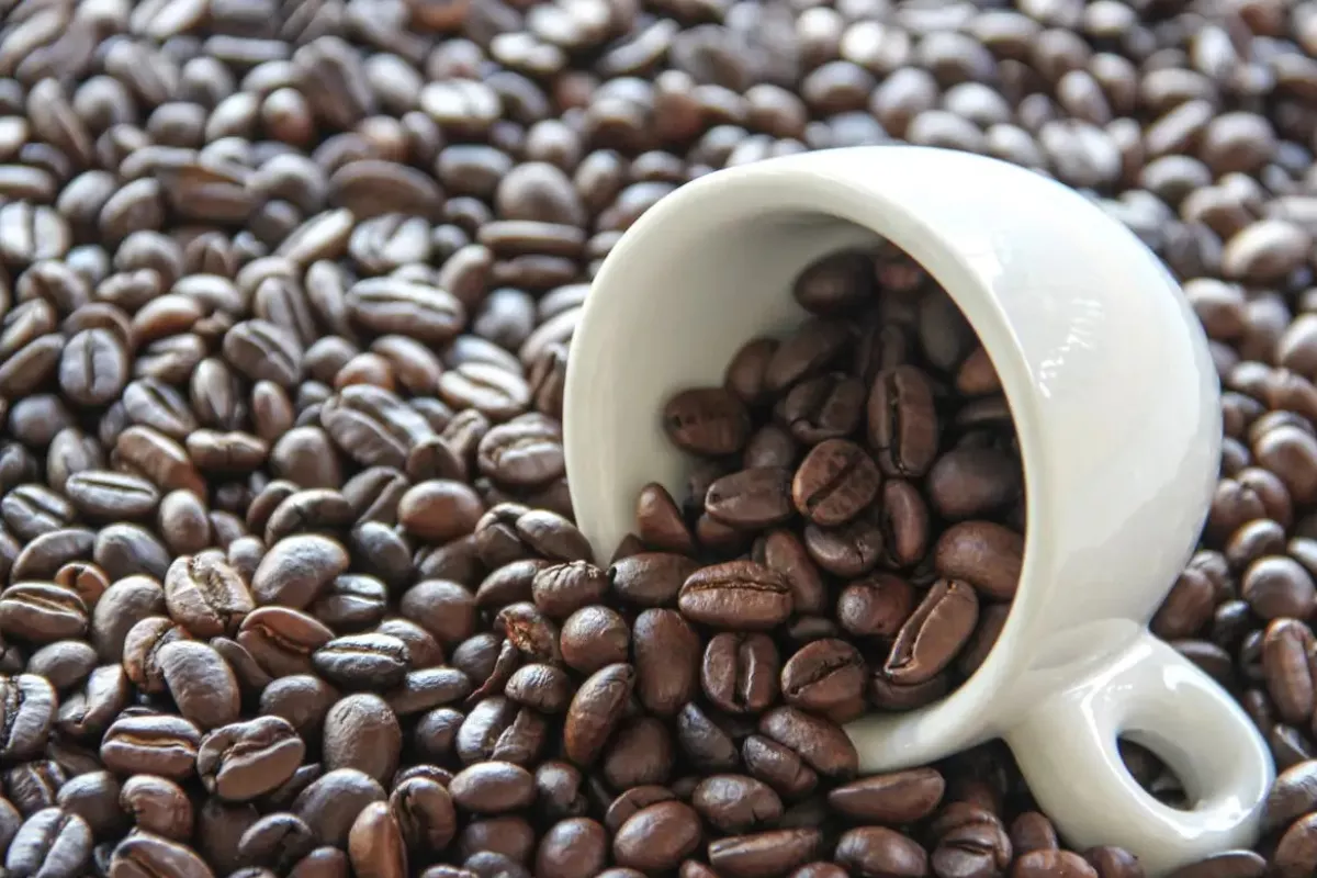 Harga Kopi Berbalik Turun Efek Penguatan USD, Stok ICE Makin Menipis