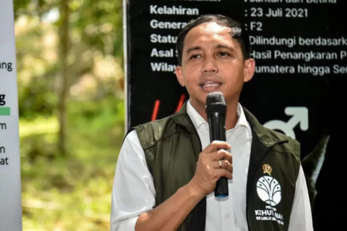 Menhut Luncurkan DSS Jaga Rimba Guna Permudah Tata Kelola Hutan