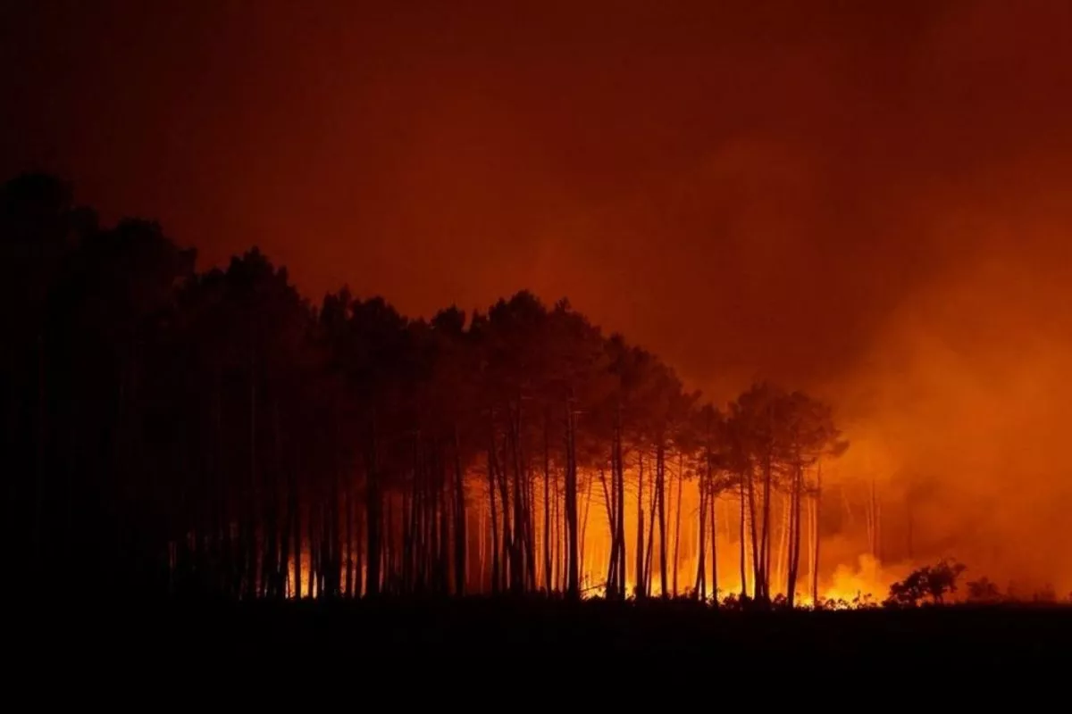Raja Juli Sebut Indonesia Belum Aman Karhutla di Tengah El Nino