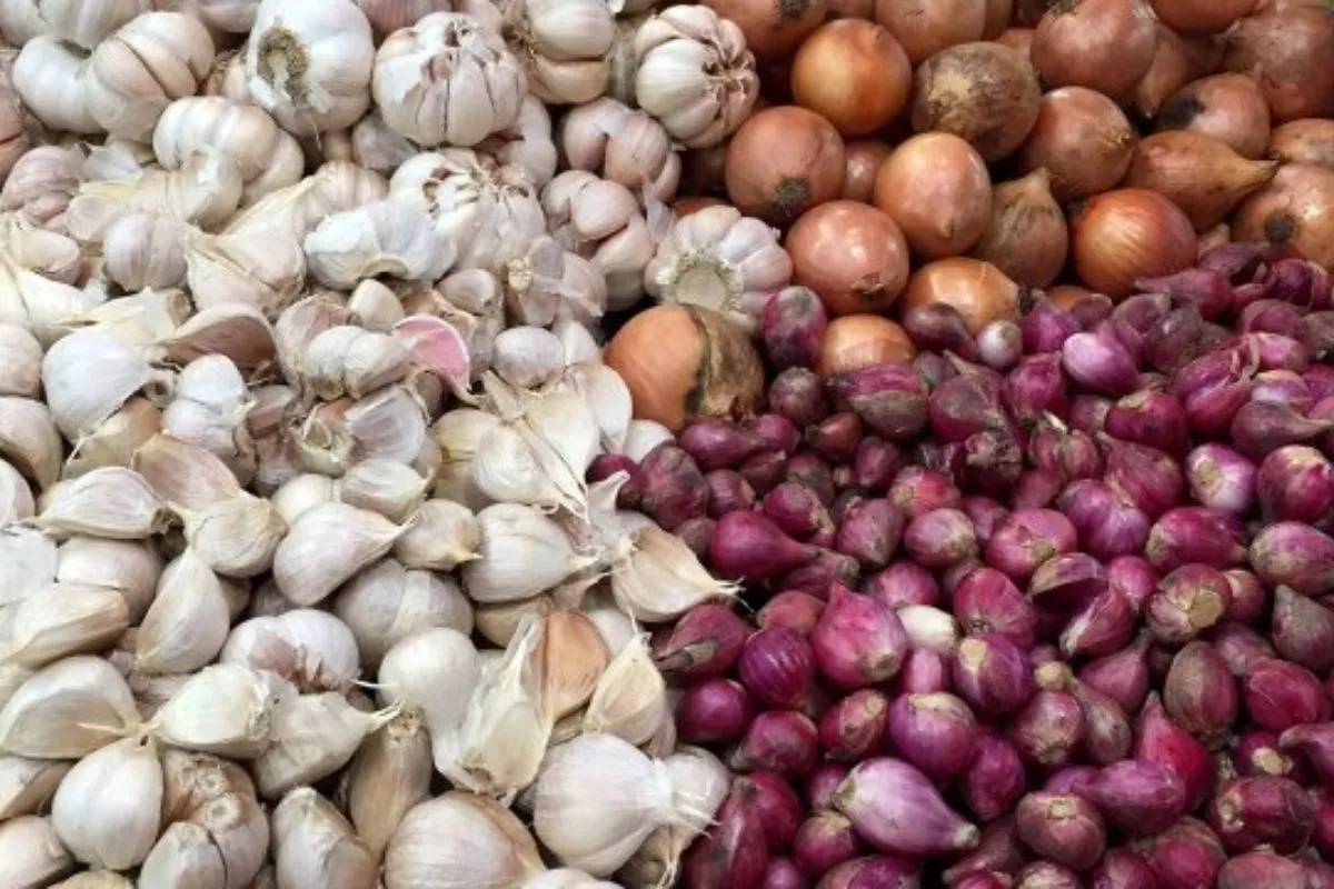 Harga Pangan Nasional 20 Juli Didominasi Kenaikan Beras