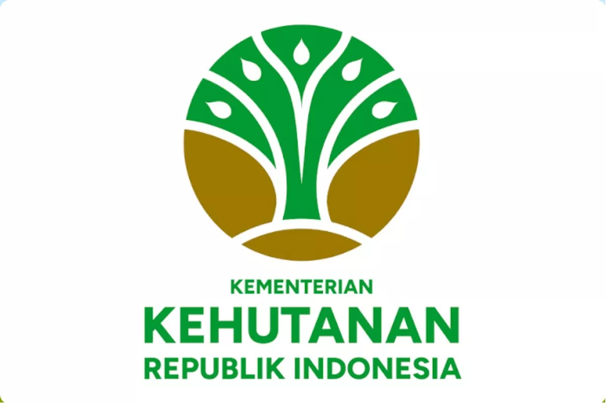 Transformasi PBPH Jadi Langkah Kemenhut Sokong Bioekonomi
