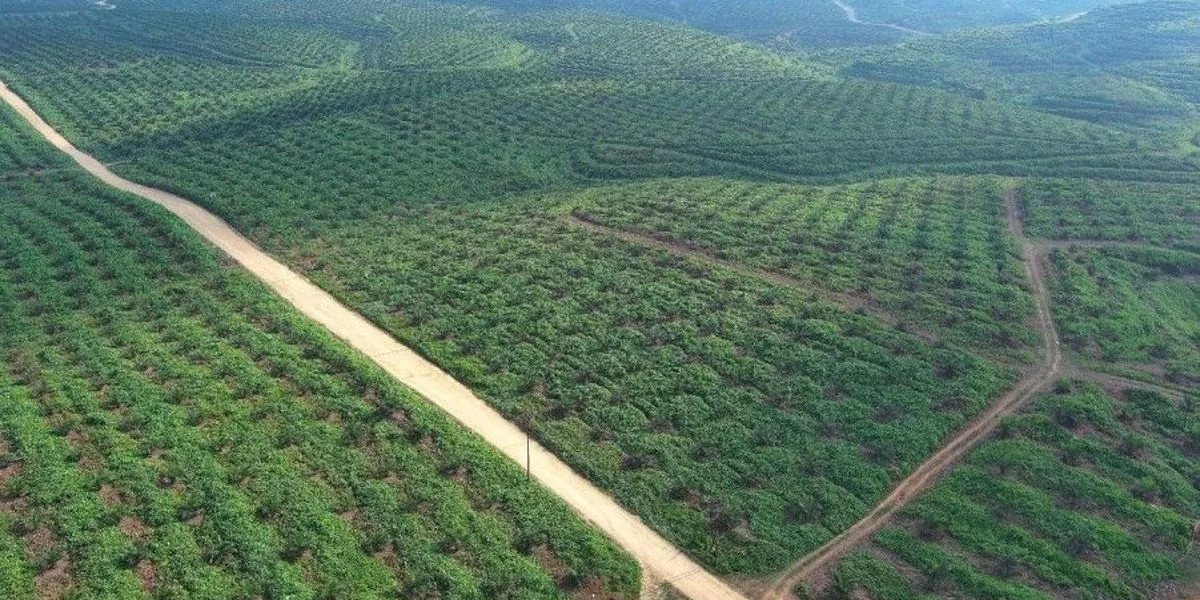 Pendekatan Humanis, PTPN IV PalmCo Amankan 223,05 Hektar Aset Negara