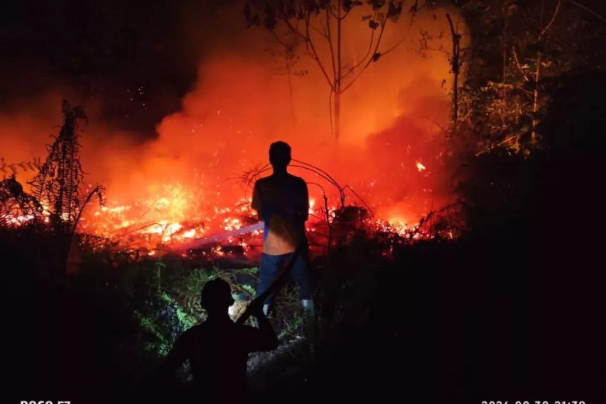BNPB: Tim Gabungan Pemadam Karhutla di Bulungan Kaltara