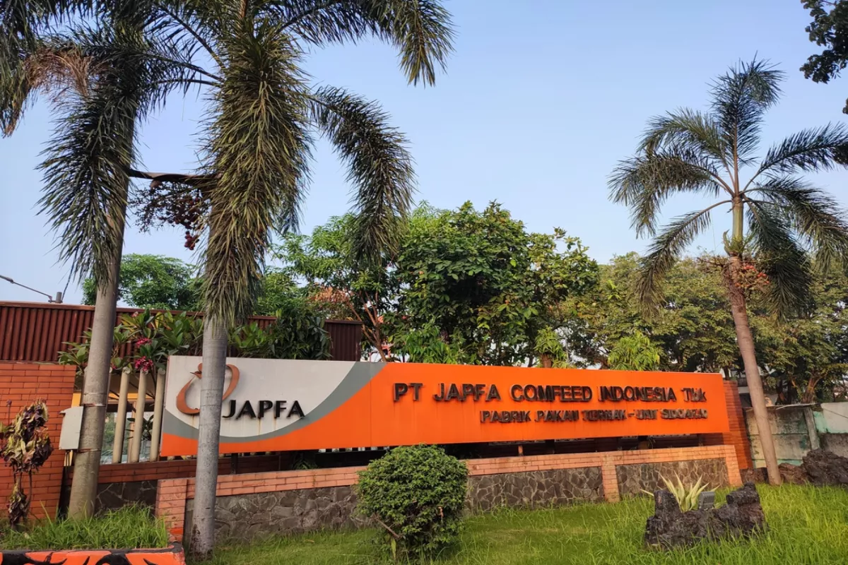 Simak Rekomendasi Saham ANTM, EXCL, dan JPFA Hari Ini 5 Juni 2026
