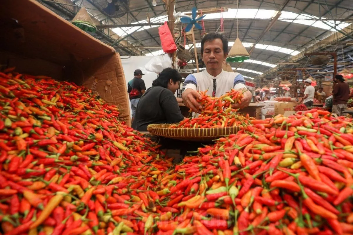 Harga Pangan Hari Ini 11 September: Cabai dan Telur Kompak Naik