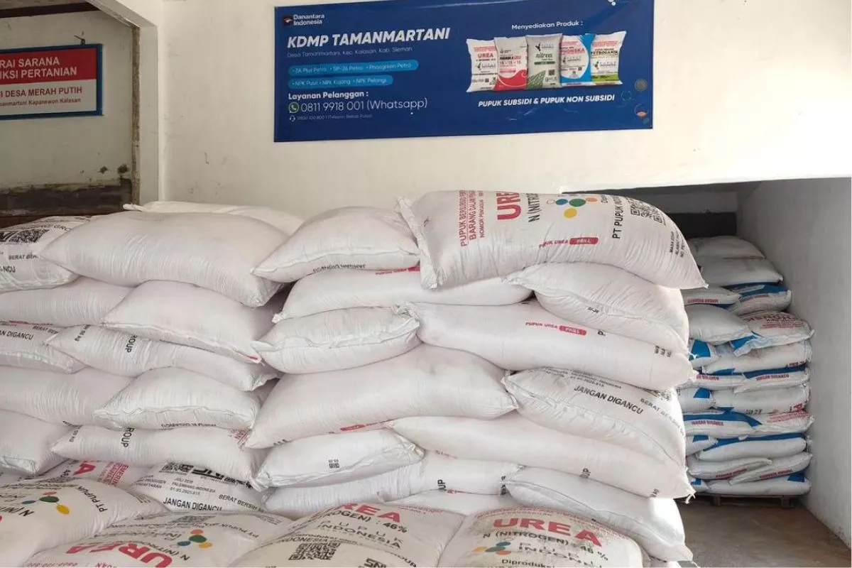 Koperasi Desa Merah Putih Sumsel Target Beroperasi 17 Agustus 2026