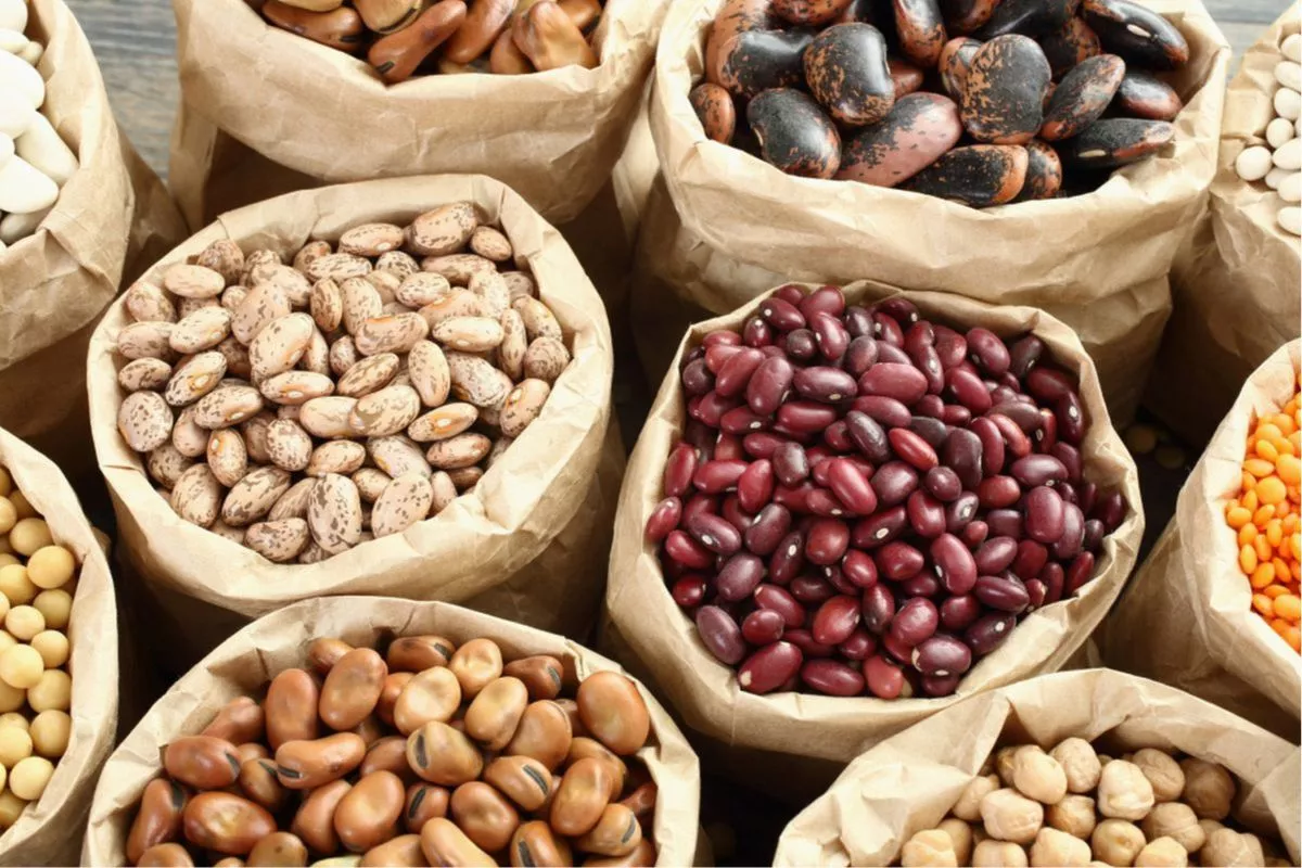 7 Pilihan Kacang dan Biji-Bijian yang Baik untuk Fungsi Otak