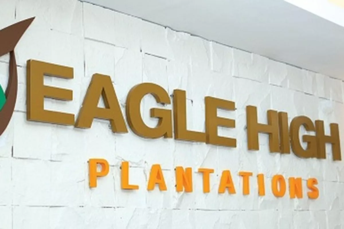 Eagle High Jual Seluruh Saham Anak Usaha SMS Senilai Rp296,8 Miliar
