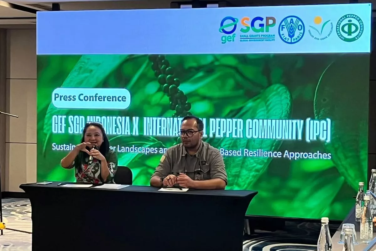 GEF SGP Dorong Ekologi Lada Guna Jaga Kelestarian Lingkungan