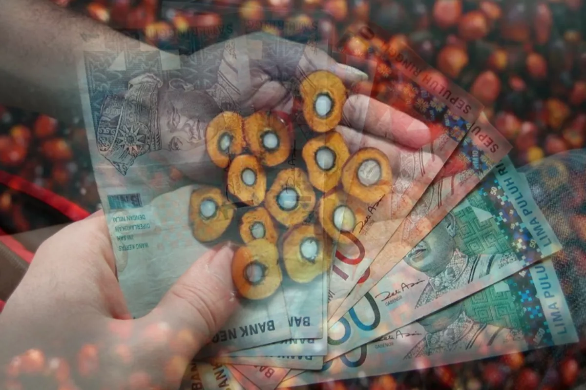 Ringgit Melemah, Harga CPO di Bursa Malaysia Kembali Melesat Naik